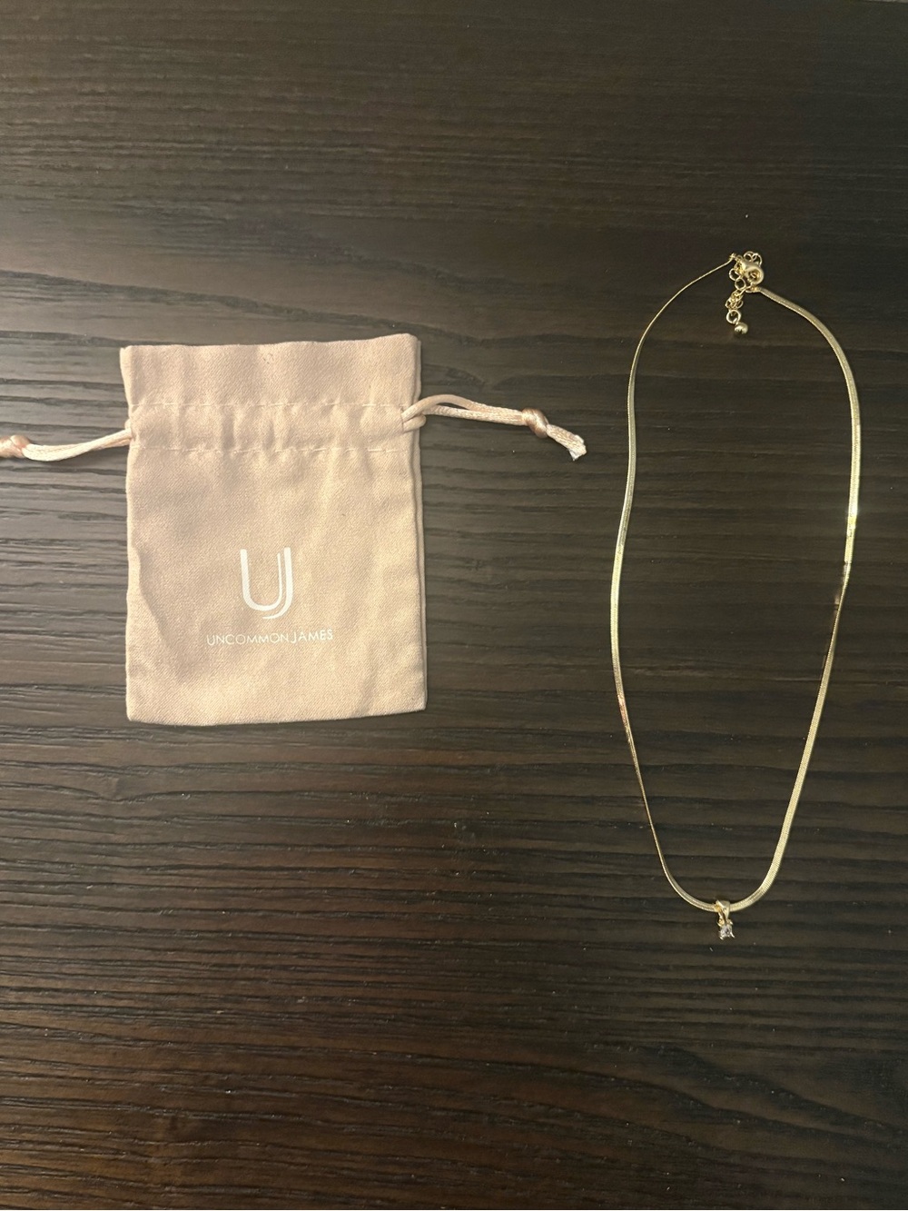 NEW Uncommon James Gold Herringbone Necklace